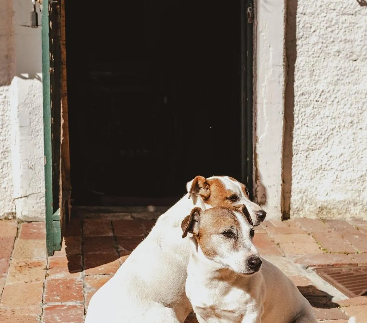 Apartment Brookwood Cottage Somerset West Südafrika